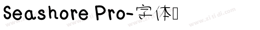 Seashore Pro字体转换